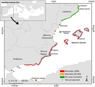 S.O.S. Pinna nobilis: A <mark class="highlighted">Mass Mortality</mark> Event in Western Mediterranean Sea